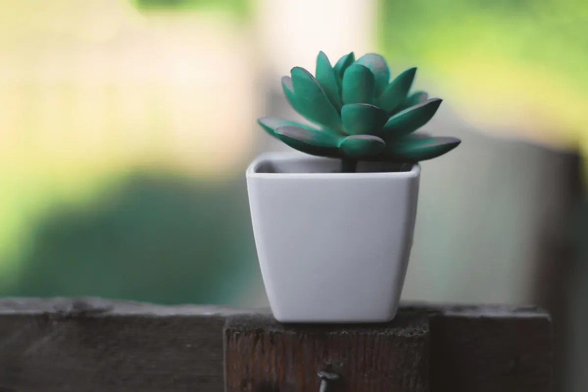 Desk Decor on a Budget: 15 UK-Friendly Ideas to Personalise Your Workspace